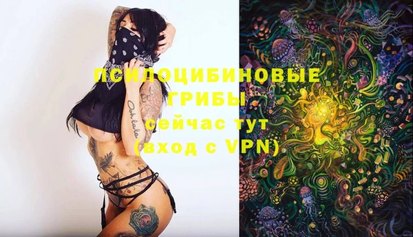 молекула духа Алзамай