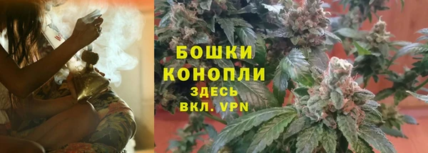 ПСИЛОЦИБИНОВЫЕ ГРИБЫ Алексин