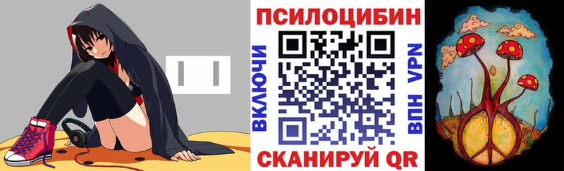 Псилоцибиновые грибы мицелий  Петрозаводск 